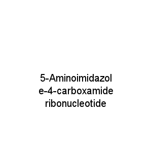 5-Aminoimidazole-4-carboxamide ribonucleotide
